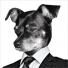 PlayStation profile picture for @Deferred