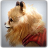 PlayStation profile picture for @INS