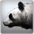 PlayStation profile picture for @use