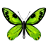 PlayStation profile picture for @linux