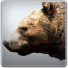 PlayStation profile picture for @Gazpacho