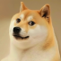 PlayStation profile picture for @LAD