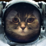 PlayStation profile picture for @hellfire