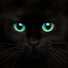 PlayStation profile picture for @vials