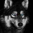 PlayStation profile picture for @SLICE