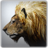 PlayStation profile picture for @Steel