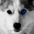 PlayStation profile picture for @dewy