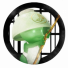 PlayStation profile picture for @Banished