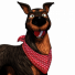 PlayStation profile picture for @Pictures