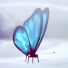 PlayStation profile picture for @butterfly
