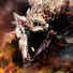 PlayStation profile picture for @fairview