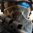 PlayStation profile picture for @ShANk