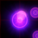 8S27992c.png