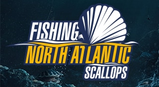 Fishing: North Atlantic Complete Edition - PS5