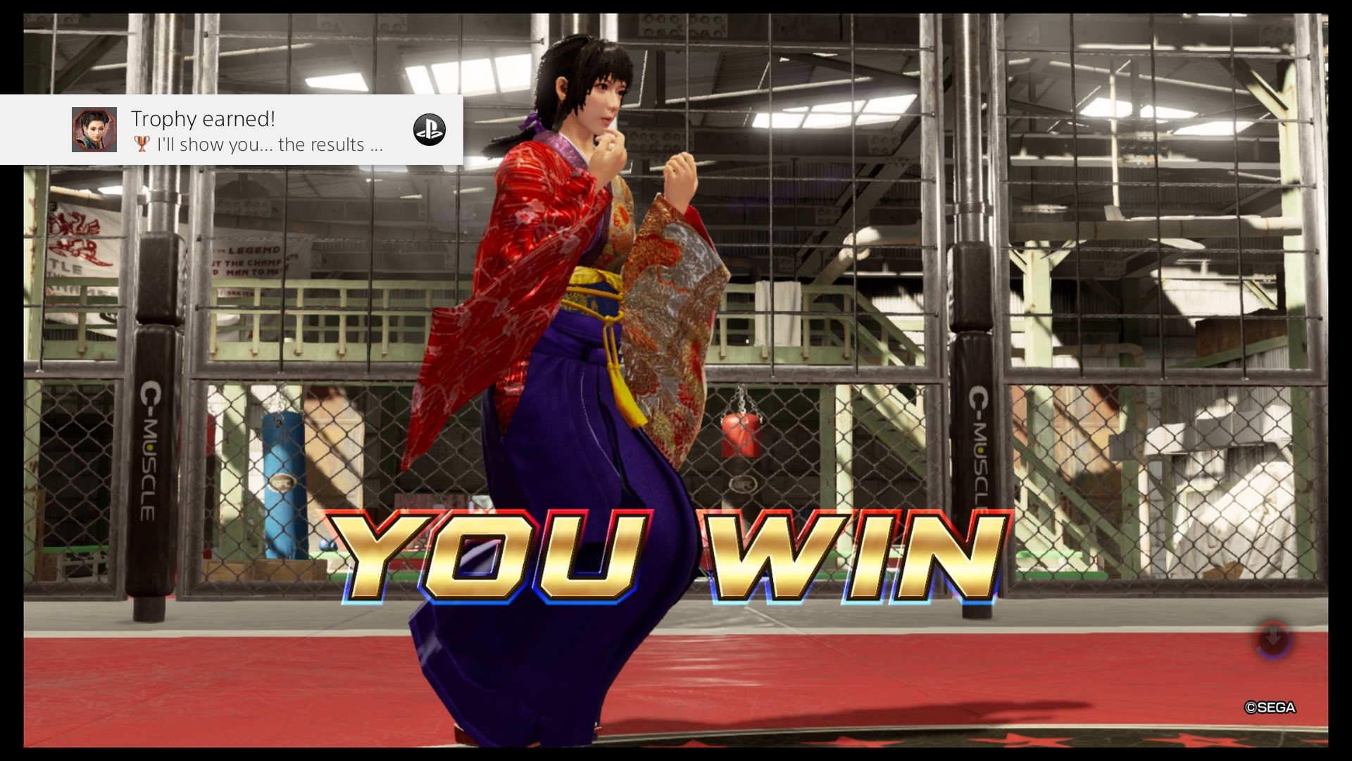 Virtua Fighter 5: Ultimate Showdown - Virtua Fighter 5 Ultimate Showdown  DLC Trophy Guide •