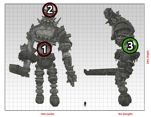 Shadow of the Colossus NEW SECRETS REVEALED 2021 - Weapons, Locations,  Weakpoints 