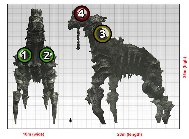 Wiki Shadow of the Colossus