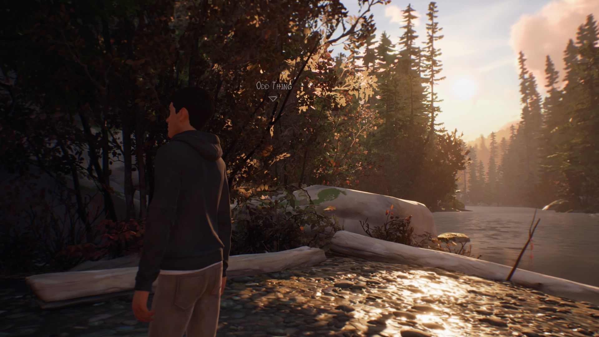 Life is Strange 2' will stay with you for a while